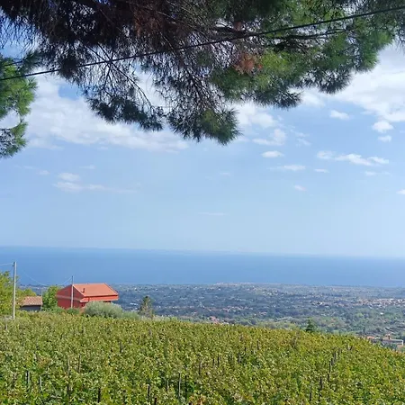 Etna Antico Palmento * Milo