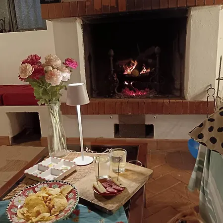 Etna Antico Palmento Villa